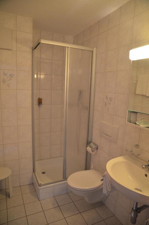 Hotel Arkanum Salgesch Екстер'єр фото